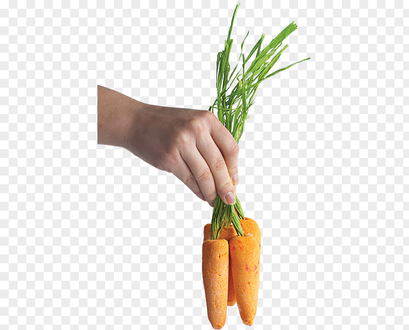 Bunch Of Carrots Baby Carrot Lush Food Mirepoix PNG