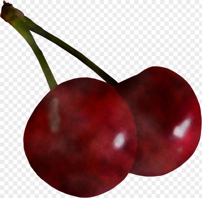 Cherry European Plum Fruit Red Plant PNG