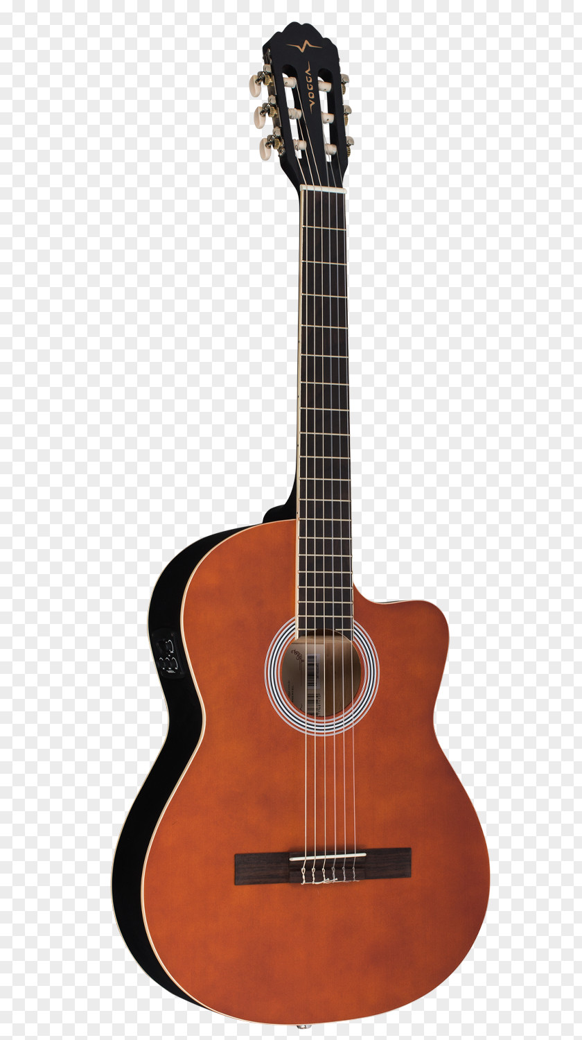 Guitar C. F. Martin & Company Classical Acoustic-electric Steel-string Acoustic PNG