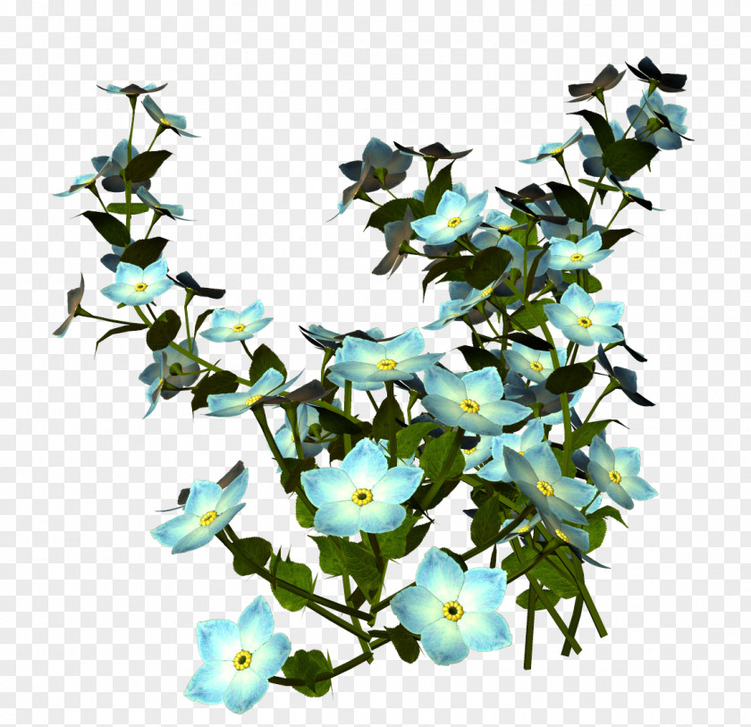 Natural Flower Blue Rose Lilium Plant Stem PNG
