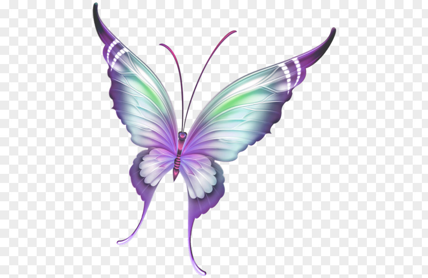 Painted Purple Butterfly Insect Paper PNG