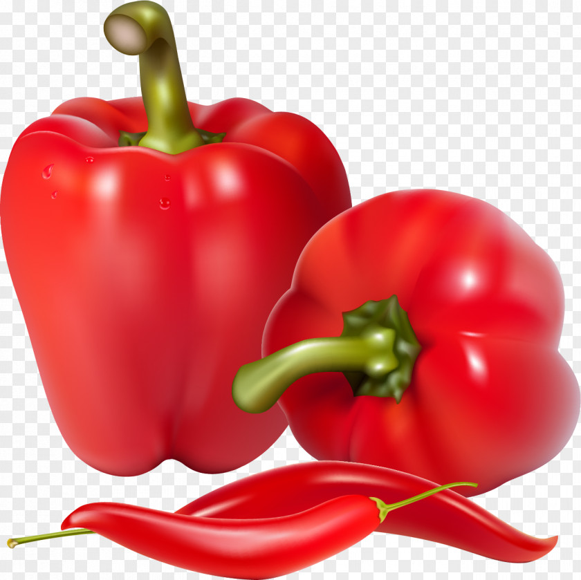 Pepper Bell Chili Vegetable Food PNG