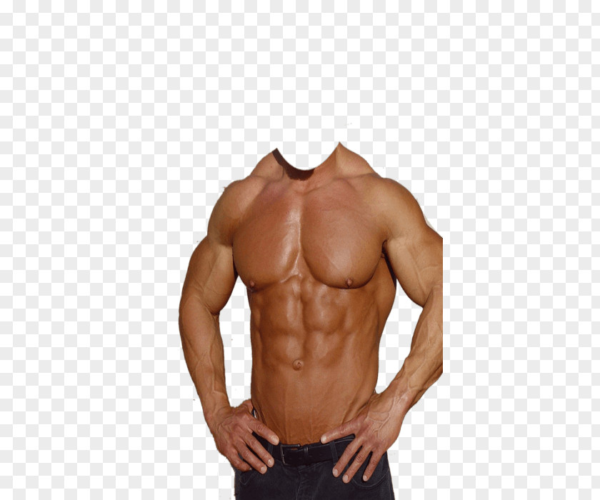 6 Pack Rectus Abdominis Muscle Android PicsArt Photo Studio Photography PNG