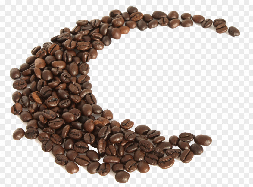 Coffee Beans Bean Espresso Quotation Caffeinated Drink PNG