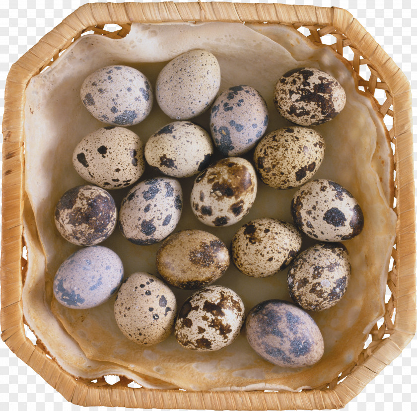 Egg Quail Eggs Common Food PNG