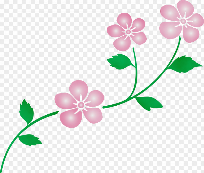 Flower Leaf Plant Pink Petal PNG
