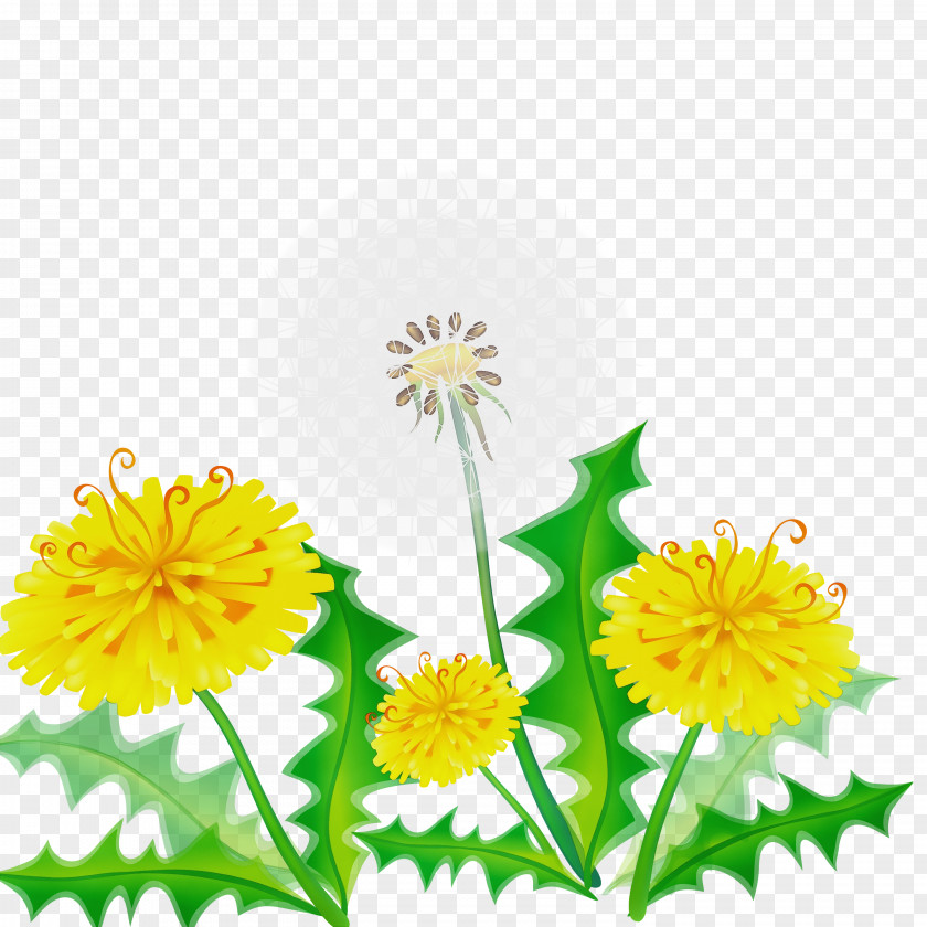 Flower Yellow Dandelion Plant PNG