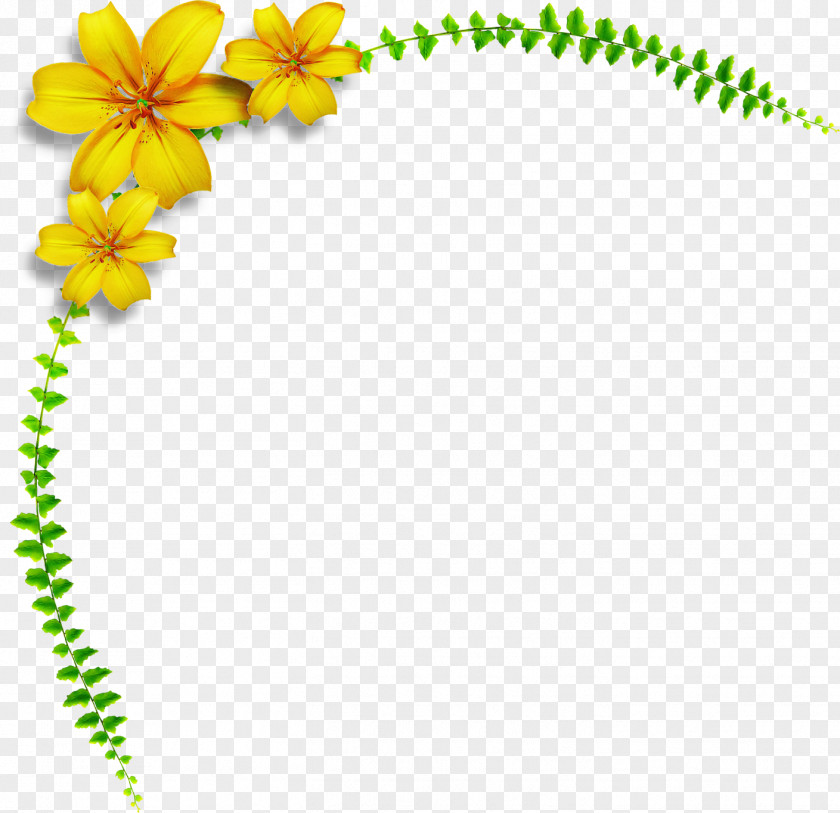 Lily Flower PNG