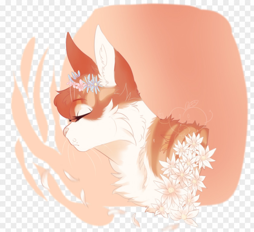 Little Flower Cat Kitten Warriors Whiskers Mammal PNG