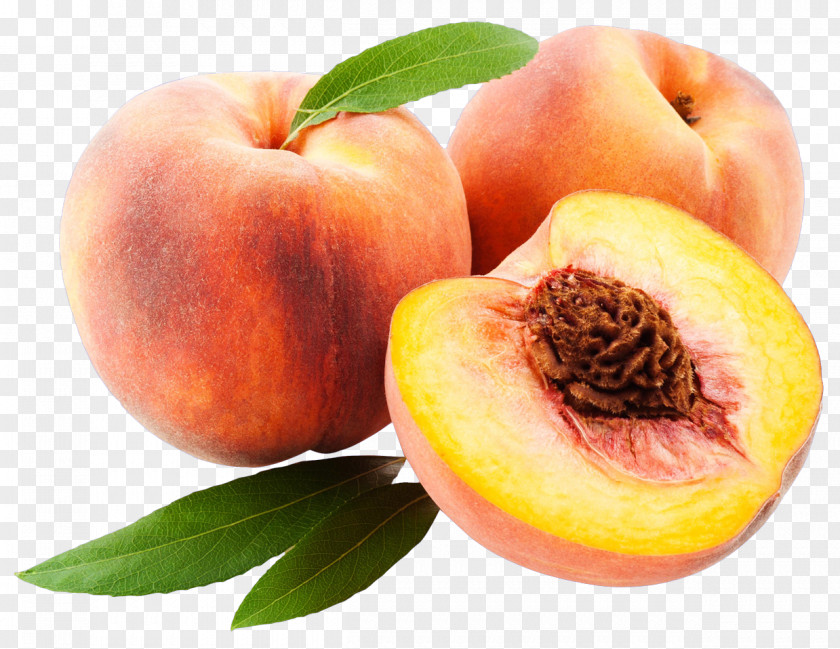 Saturn Peach Nectarine Fruit Clip Art PNG