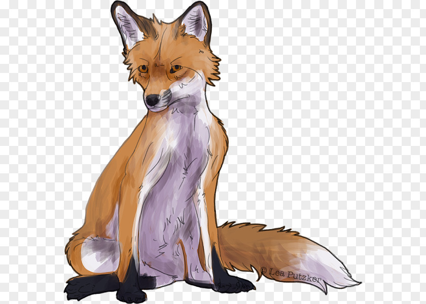 Terry Fox Day Red Fur Wildlife Tail Character PNG