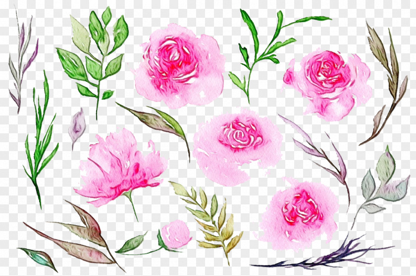 Watercolor Paint Wildflower Bouquet Of Flowers Drawing PNG
