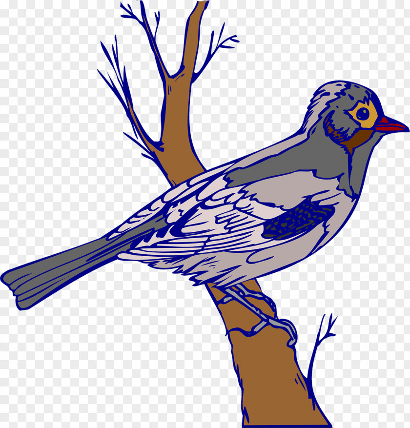 Birds House Sparrow Songbird Wren PNG