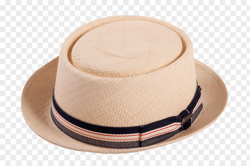 Hat Wool Carludovica Palmata Leather Straw PNG