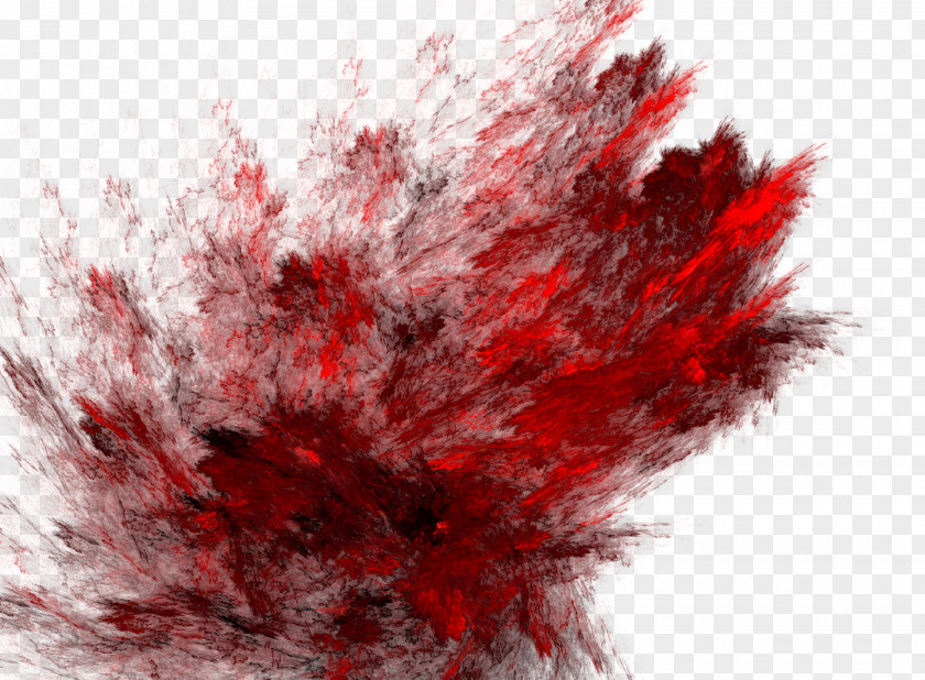 Red Ink Creative Cinema 4D PNG