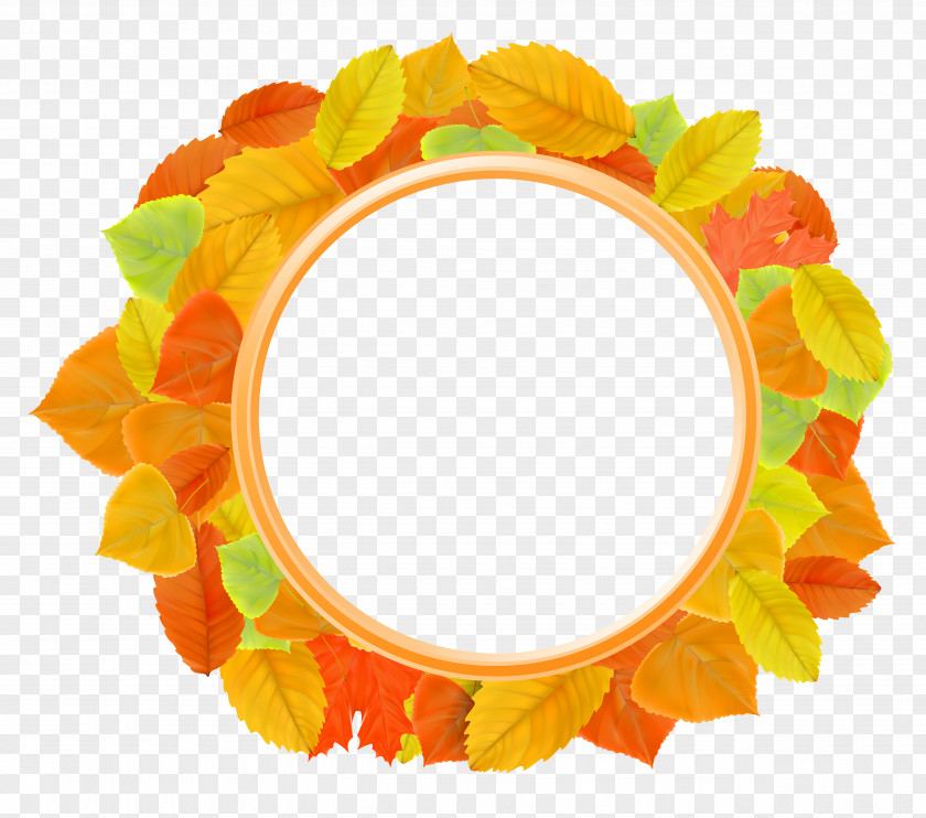 Autumn Leaves Frame Clipart Image Leaf Picture Clip Art PNG
