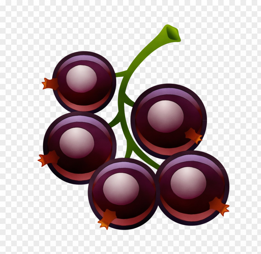 Berry Vitis Violet Purple Plant Grape Fruit PNG