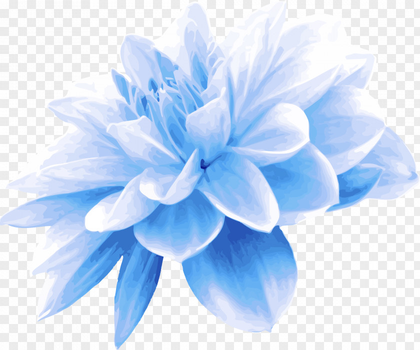 Dahlia Electric Blue Petal White Cobalt Flower PNG