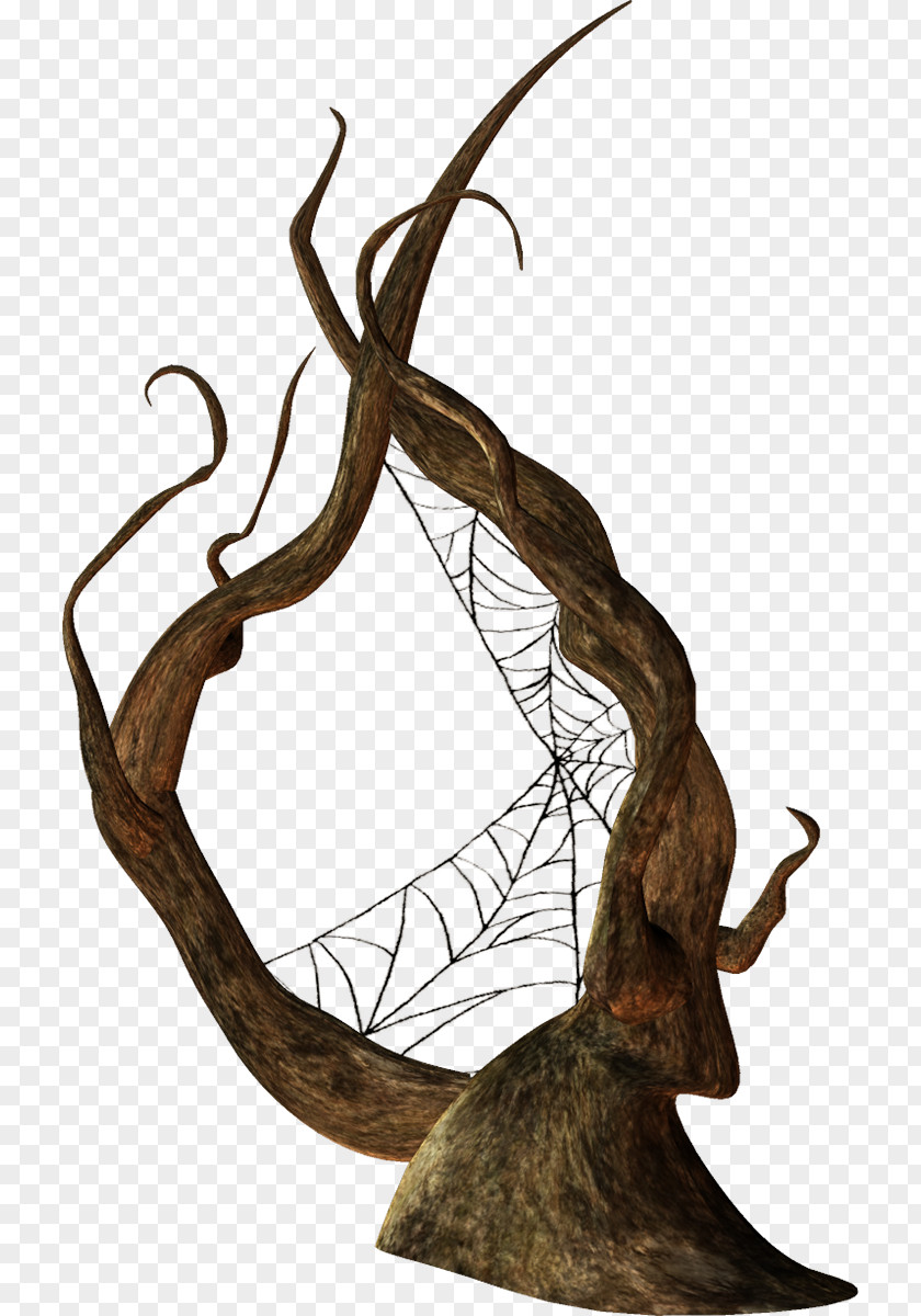 Goth Icon Spider Web Image Twig Message PNG