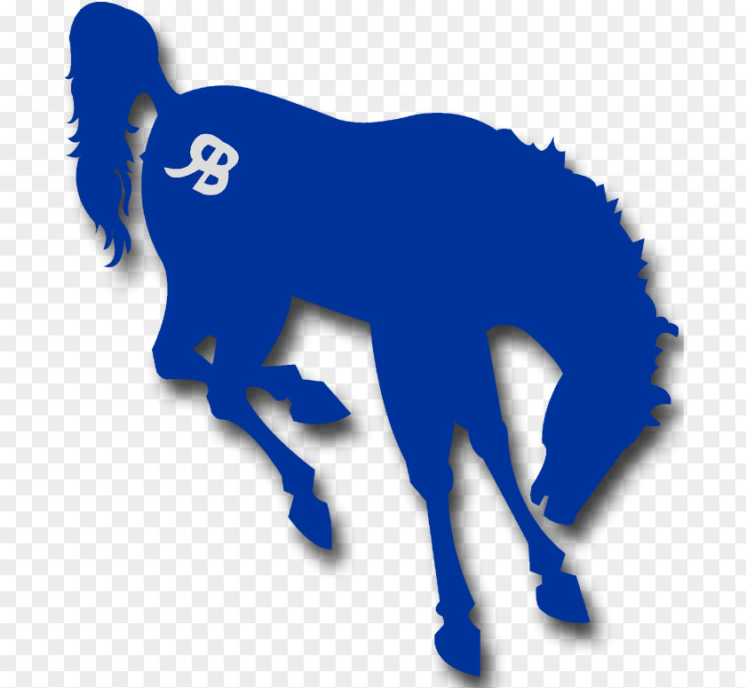 Horse Rancho Bernardo High School National Secondary Westview Denver Broncos PNG