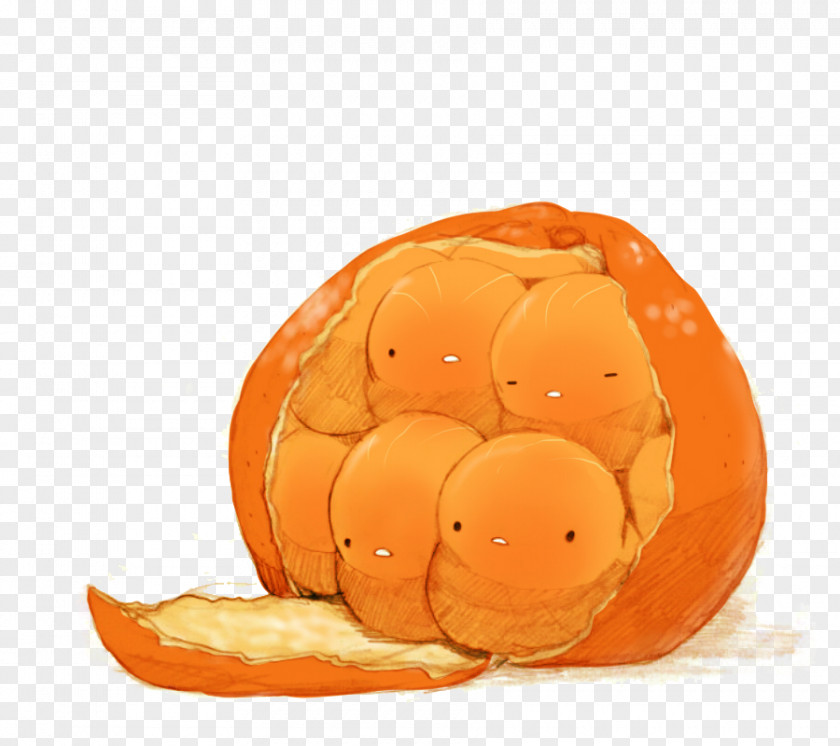 Orange Chicken Mandarin Cartoon Illustration PNG
