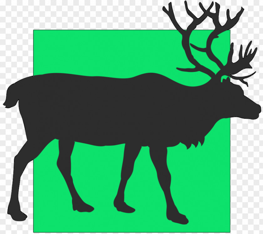 Reindeer Elk Clip Art Antler Fauna PNG