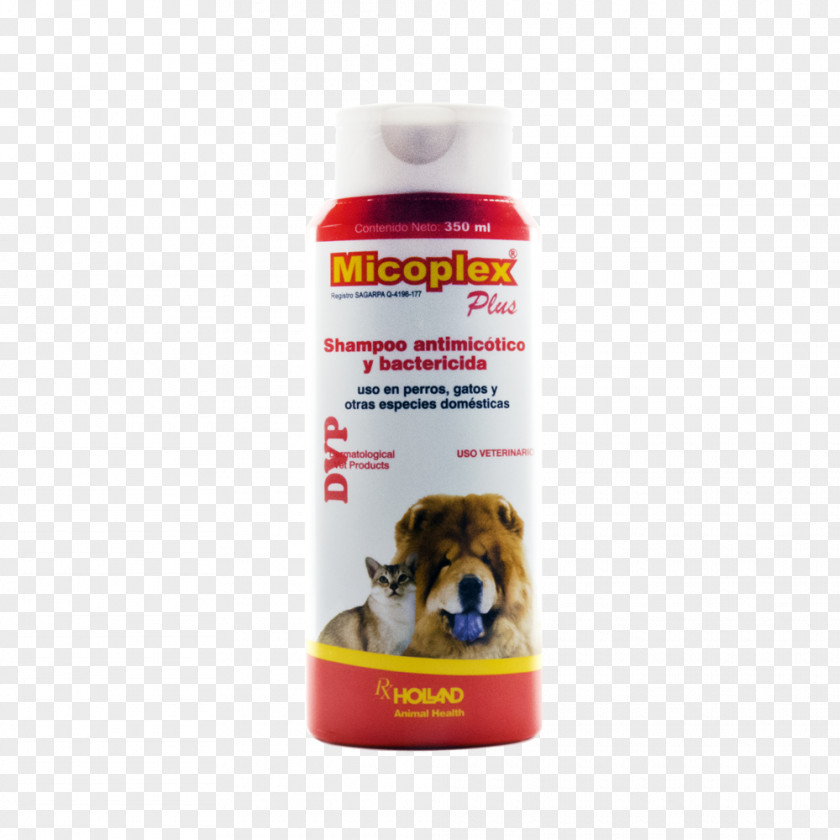 Shampoo Huvica Veterinary Marketing Miconazole Chlorhexidine Health PNG