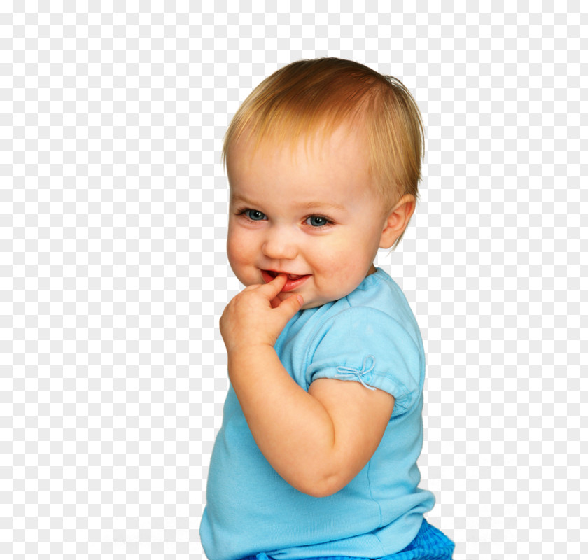 Baby's Breath Infant Child Desktop Wallpaper Poppies Bistrot PNG