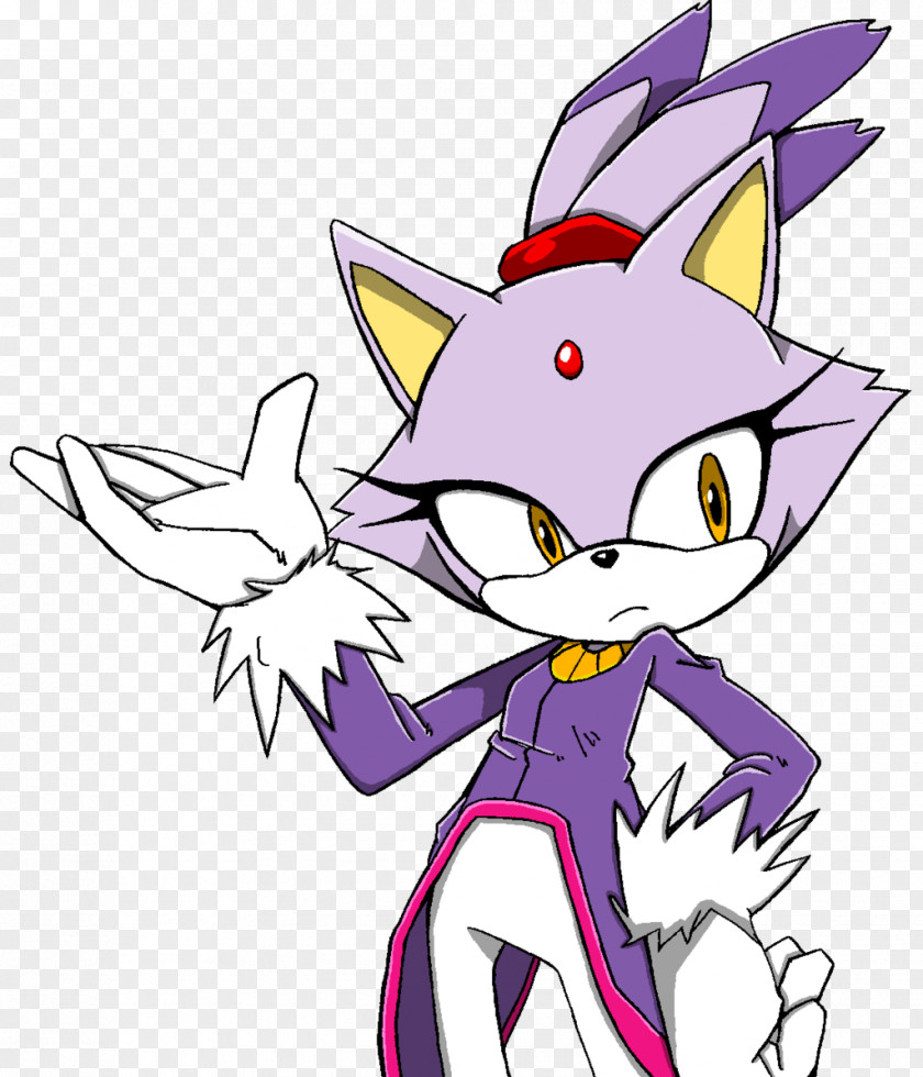 Blaze The Cat Wedgie Sonic Hedgehog Shadow Runners Whiskers PNG