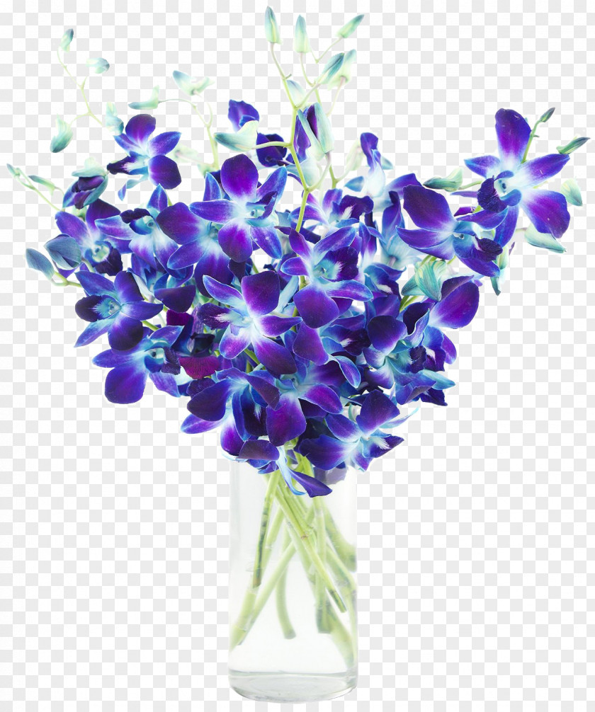 Hortensia Dendrobium Orchids Blue Flower PNG