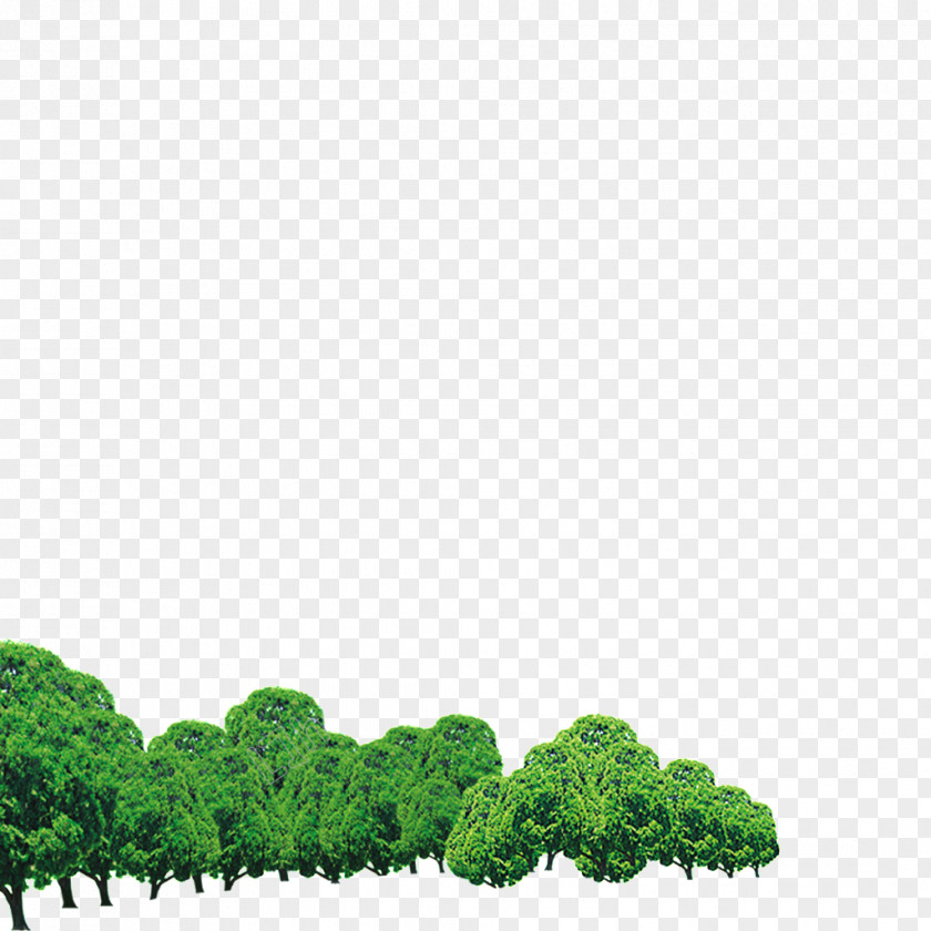 Image Design Watercolor Painting Forest PNG