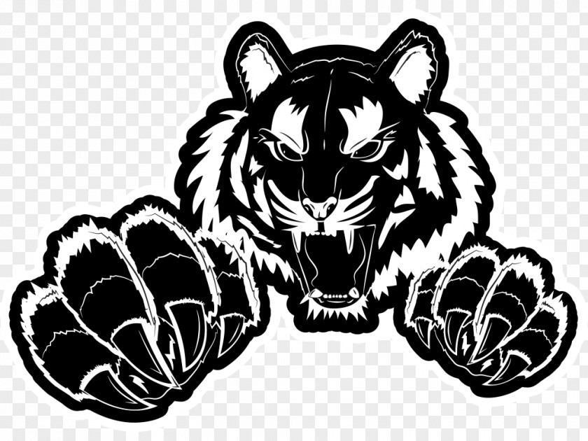 Tiger Whiskers Lion Cat Drawing PNG