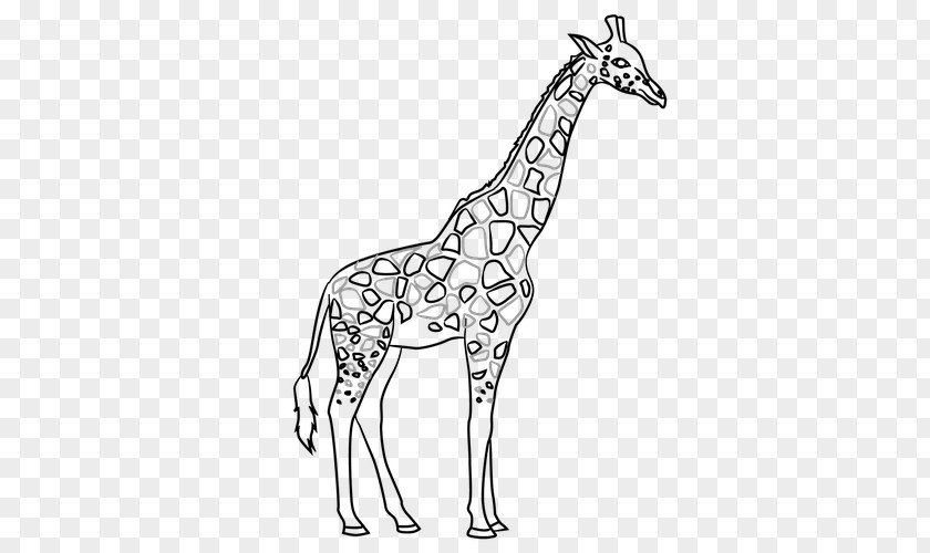 Color Paperrplanes Giraffe Line Art Contour Drawing PNG