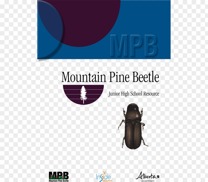 High School English 1 Curriculum Map Graphic Design Mountain Pine Beetle Brand Product PNG