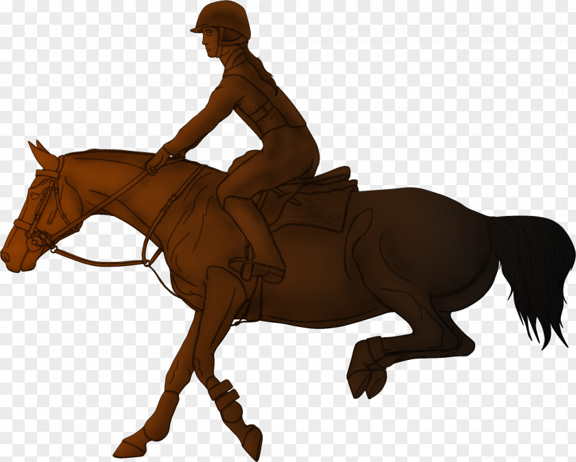 Horse Hunt Seat Mane Rein Stallion PNG