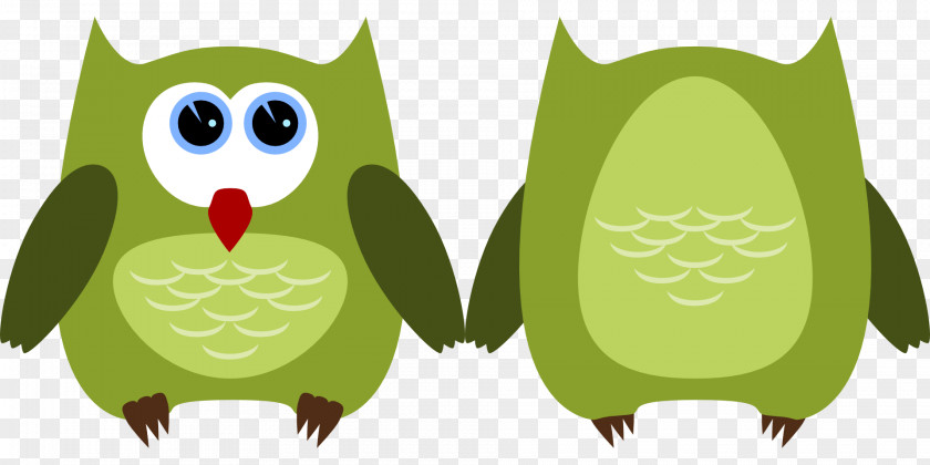 Owls Baby Bird Clip Art PNG