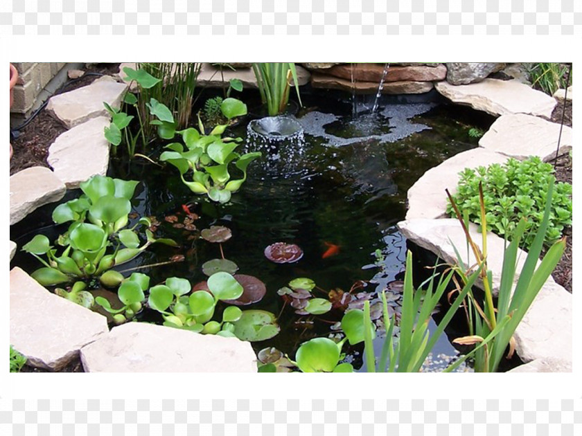 Pond Body Of Water Landscaping Garden Feature PNG