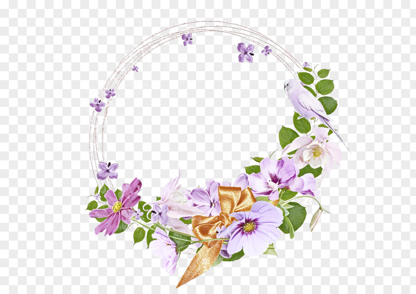Wildflower Morning Glory Flower Lilac Violet Purple Plant PNG