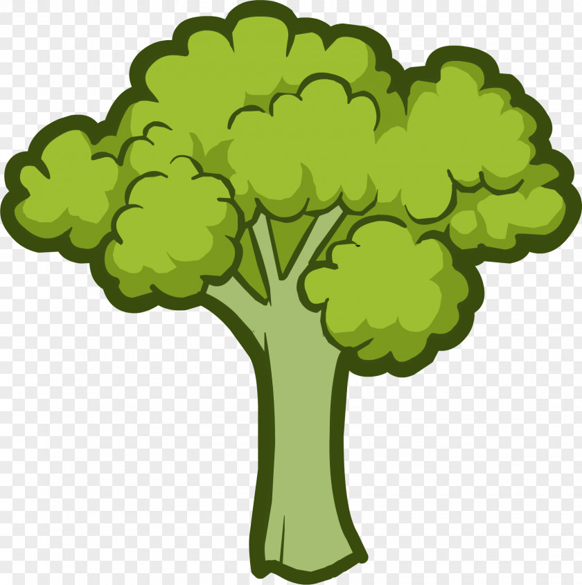 Broccoli Vegetable Lettuce Clip Art PNG