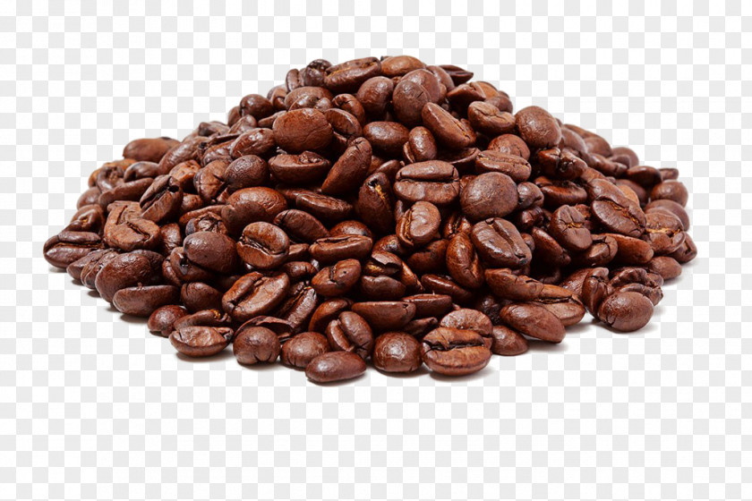 Coffee Beans Bean Cocoa Caryopsis PNG