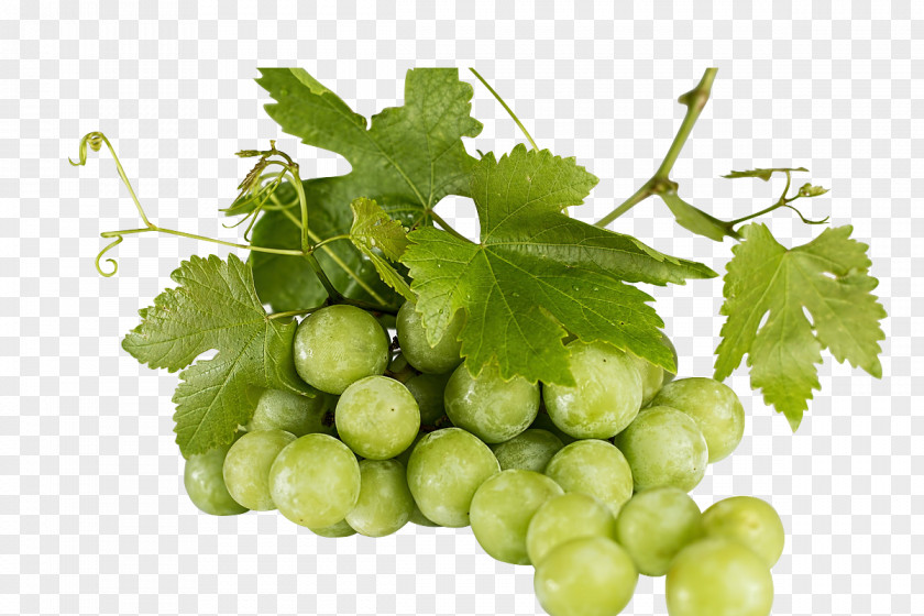 Grape,Green Grapes Juice Common Grape Vine Wine Fruit PNG