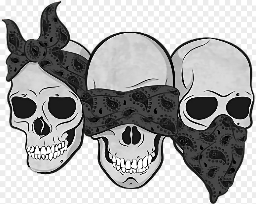 Skull Three Wise Monkeys Drawing Calavera PNG