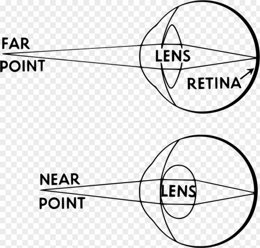Eye Accommodation Reflex Human Lens PNG