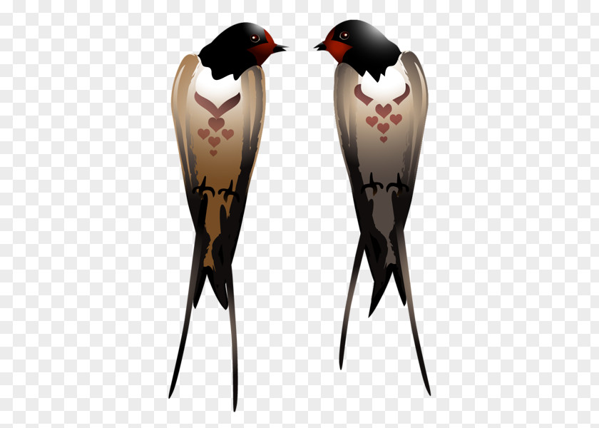 Roselle Swallow Clip Art PNG