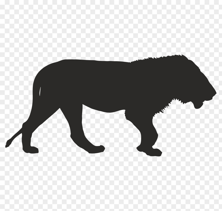 Africa Lion Vector Graphics Clip Art Rhinoceros PNG