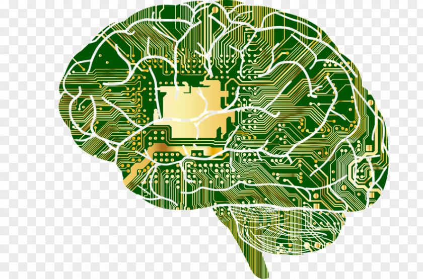 Brain Machine Learning Artificial Intelligence Research PNG