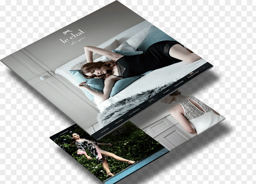 Design Photographic Paper Brand PNG