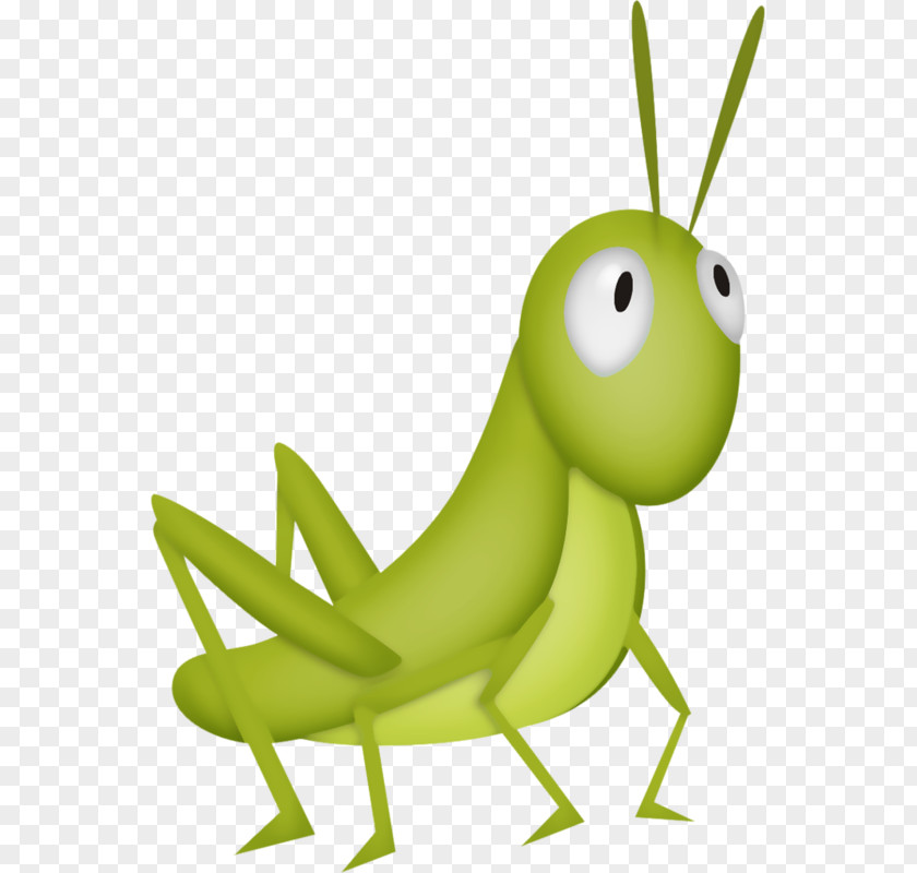 Green Grasshopper Insect Clip Art PNG