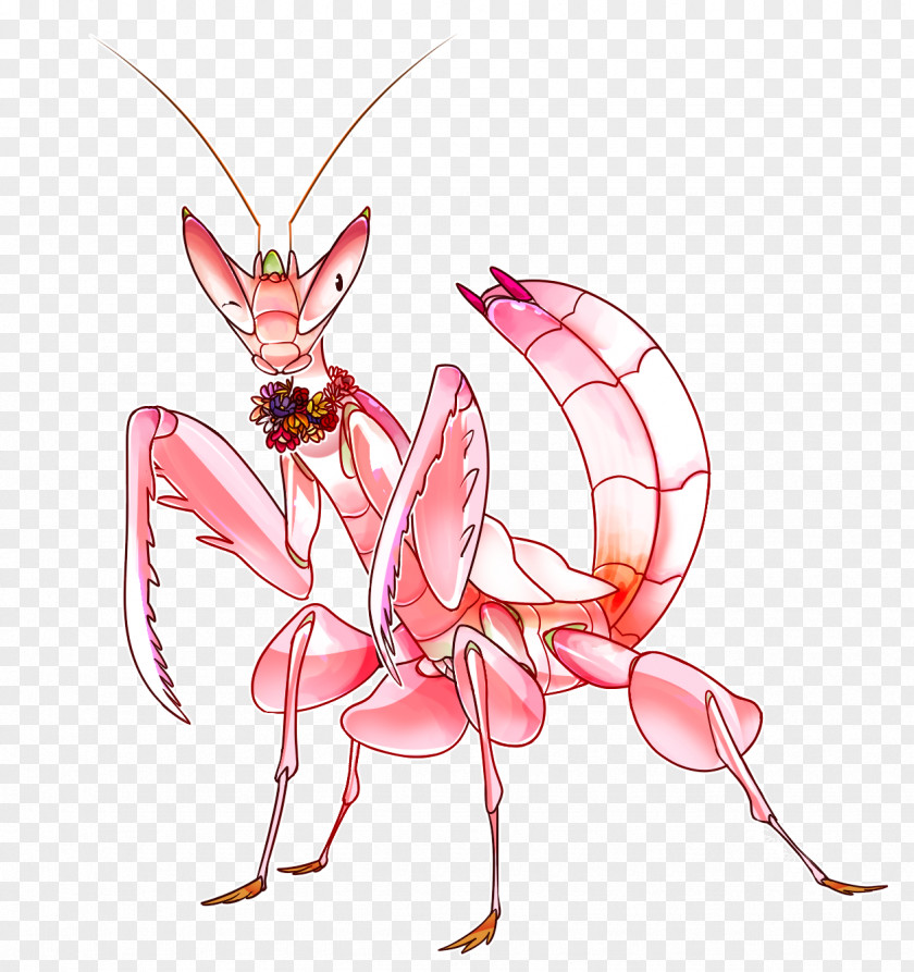 Insect Butterfly Fairy Pollinator PNG