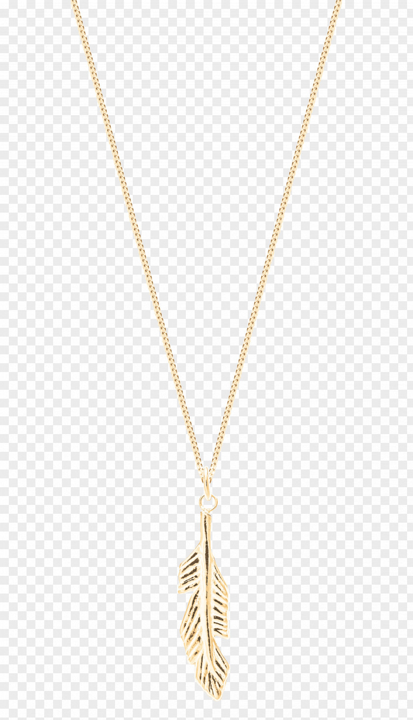 Necklace Texas Metal Locket Chain PNG